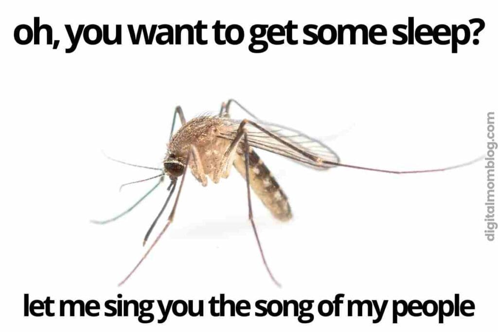 mosquito noise meme oh, you want to get some sleep? let me sing you the song of my people
