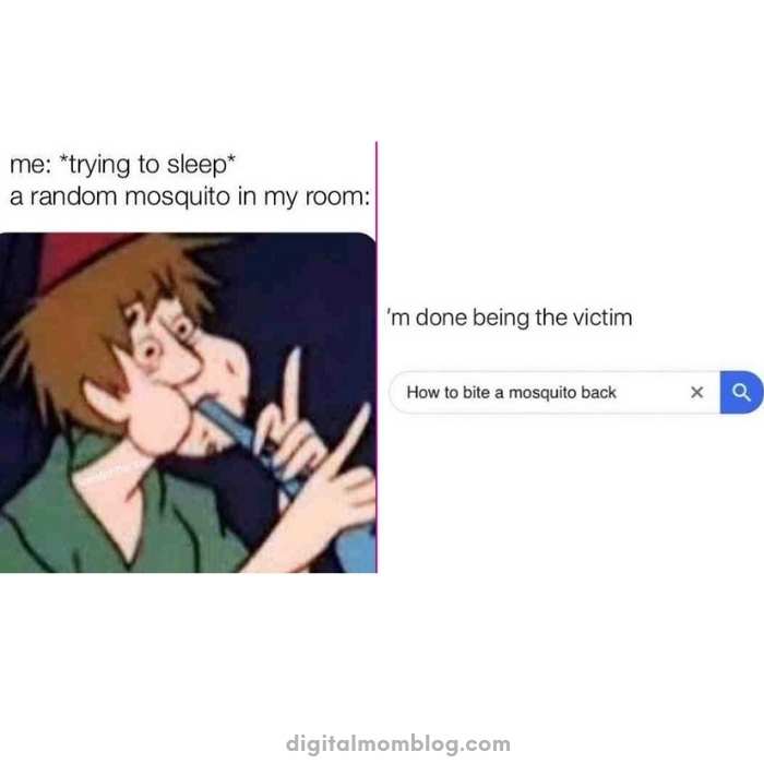 mosquito sleep meme Humorous sleep meme showing a person with an exaggerated expression using a flute to combat a mosquito, paired with a search for 'How to bite a mosquito back', emphasizing the struggle of trying to sleep while being bothered by a mosquito.