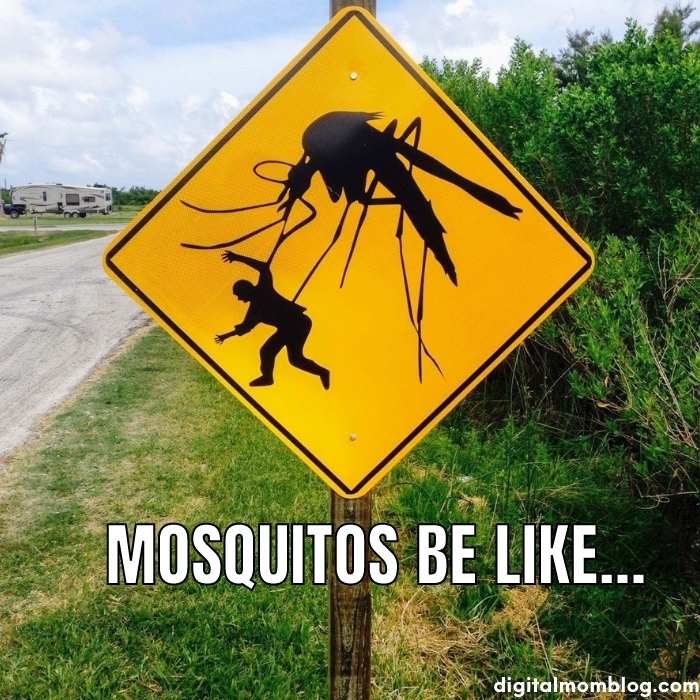 mosquitos be like meme Humorous Texas meme showing a road sign with a giant mosquito carrying a person, captioned 'MOSQUITOS BE LIKE...', poking fun at their size and persistence in Texas.