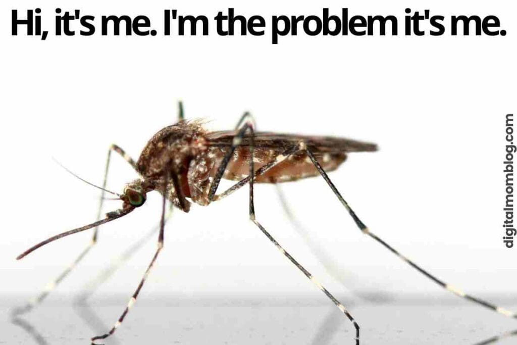 mosquitos meme hi, it's me. i'm the problem it's me.