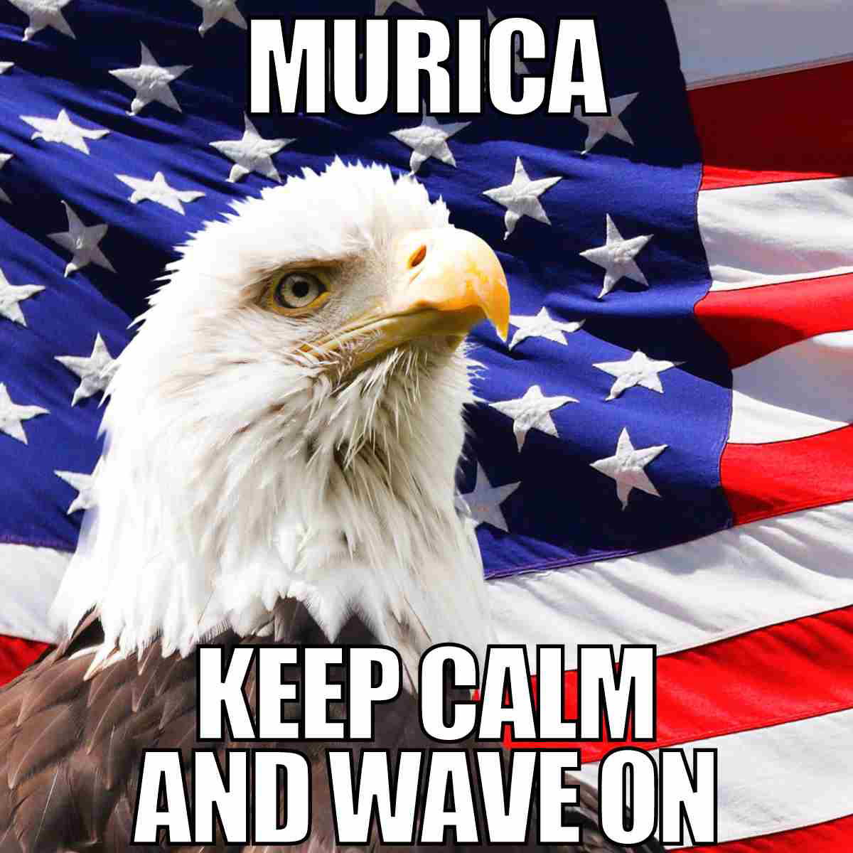 murica meme eagle murica meme eagle