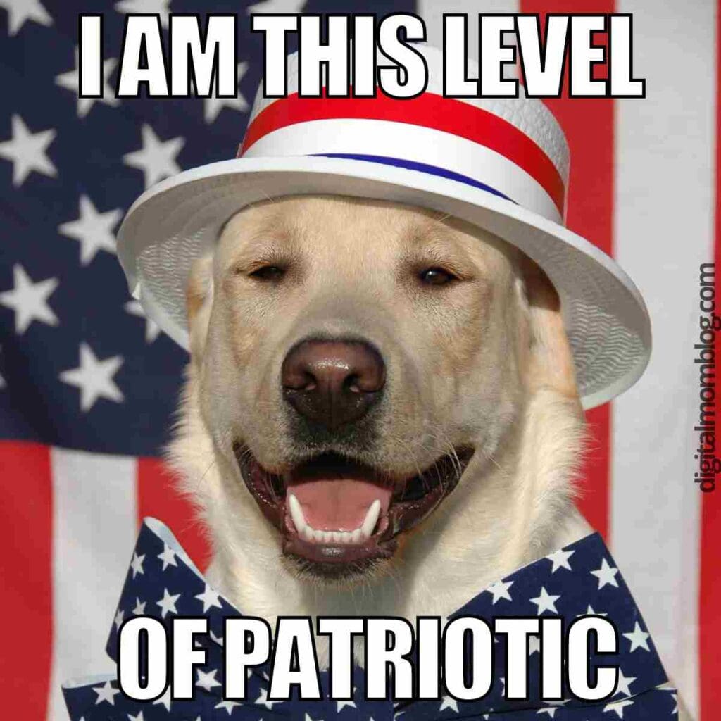 patriotic meme patriotic meme