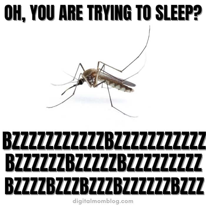 sleep mosquito sound meme Meme of a mosquito smugly buzzing with text: 'Oh, you are trying to sleep? Bzzzzzzzzz.' Perfectly capturing the irony of bedtime warfare with these tiny saboteurs.