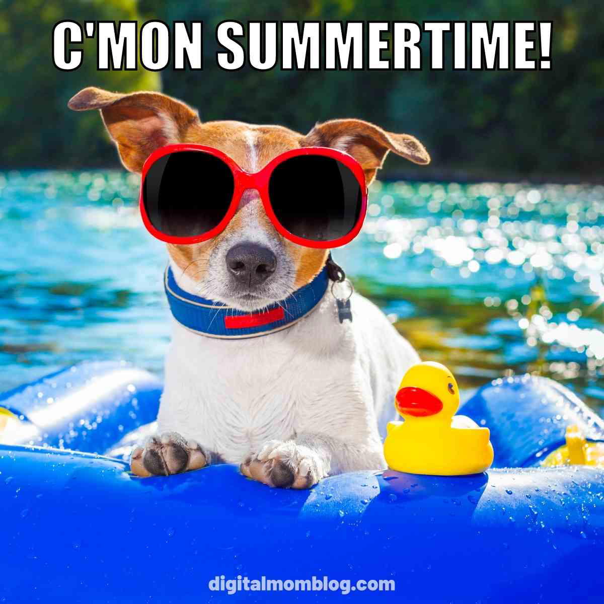 summertime meme summertime meme