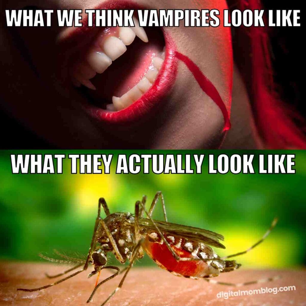 vampire meme mosquito Here's what we think vampires look like versus what they actually look like.