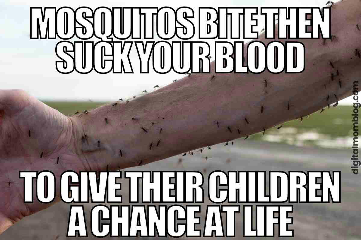 vampire mosquito meme blood mosquitos bite then suck your blood to give their children a chance at life