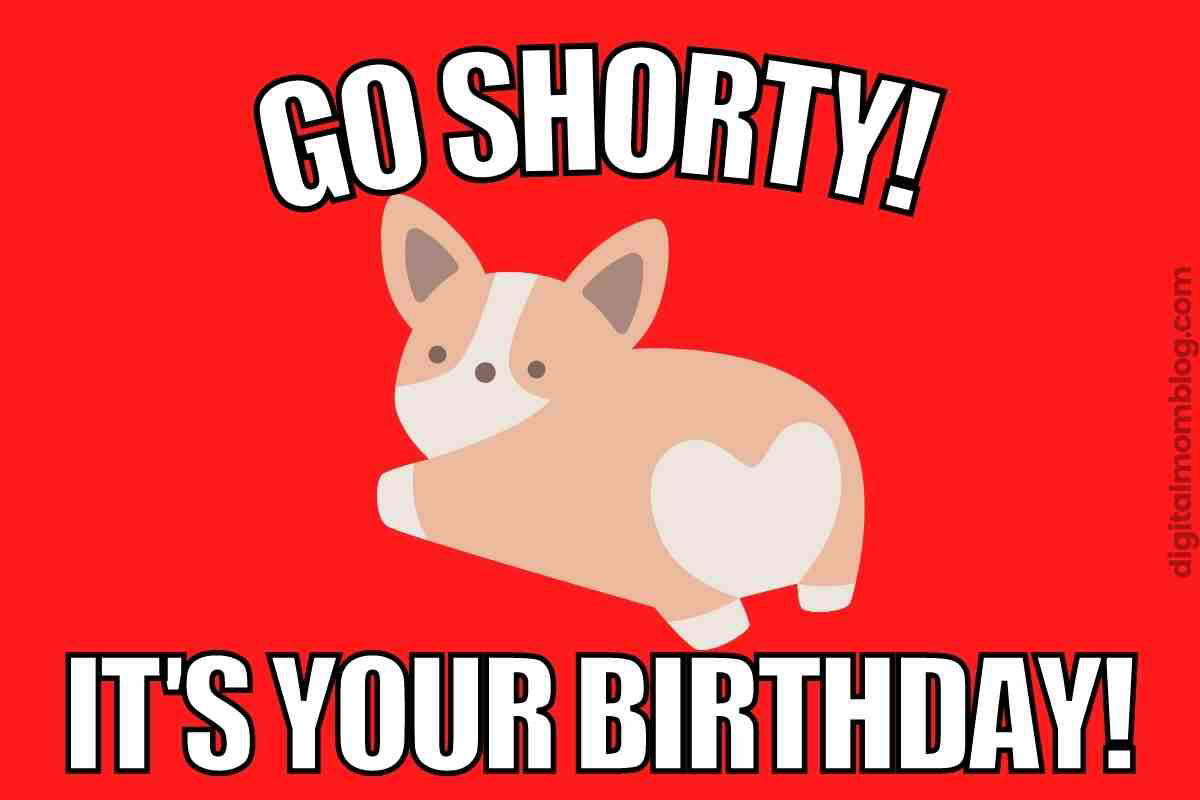 corgi birthday meme go shorty Birthday meme featuring a cute cartoon corgi celebrating with the text 'Go Shorty! It's Your Birthday!' on a vibrant red background, perfect for adding a splash of humor to your special day.