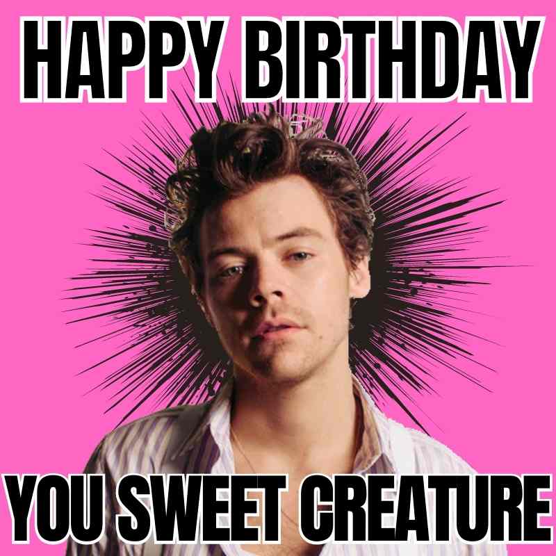 sweet birthday meme Meme of a person with messy hair against a bright pink background, with large text saying "Happy Birthday You Sweet Creature," radiating comedy and charm.