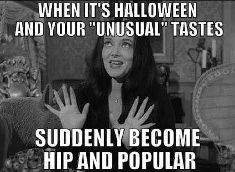 addams family halloween meme addams family halloween meme