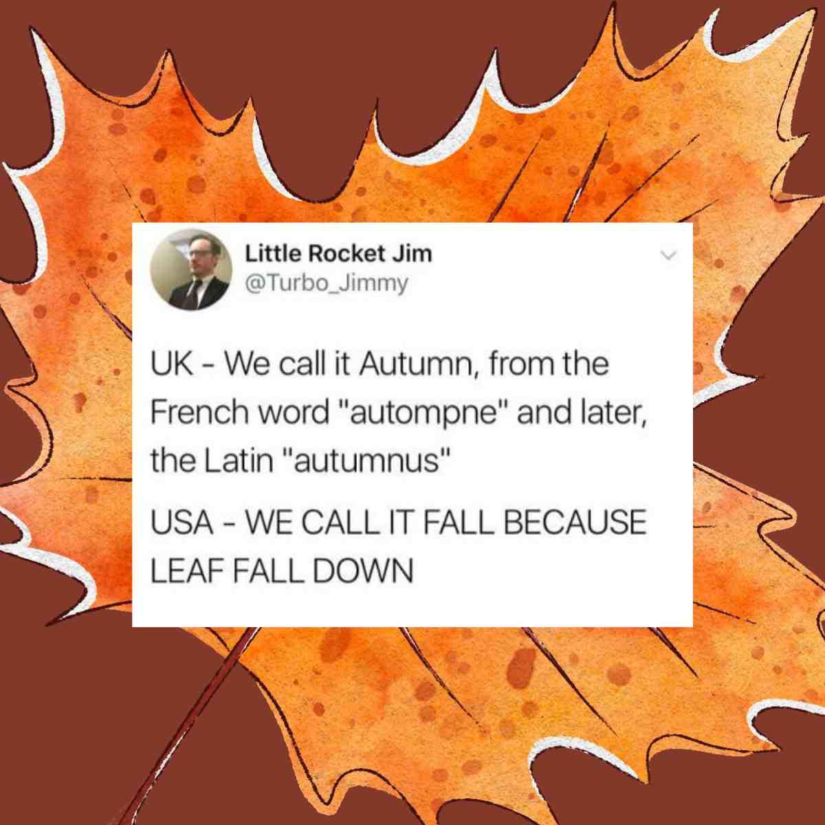 autumn meme funny autumn meme funny