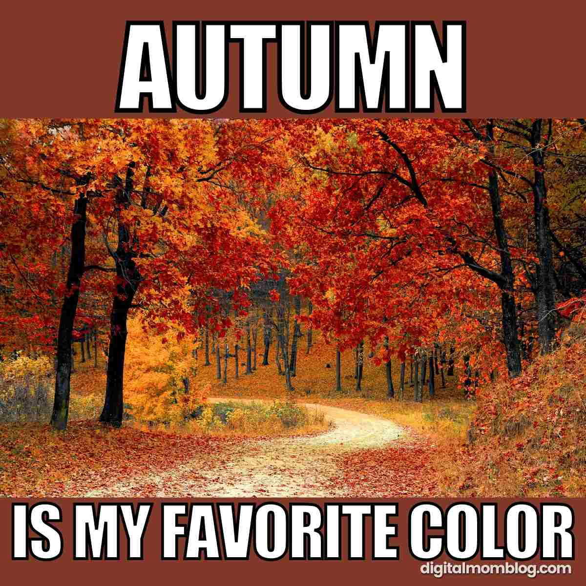 autumn meme autumn meme