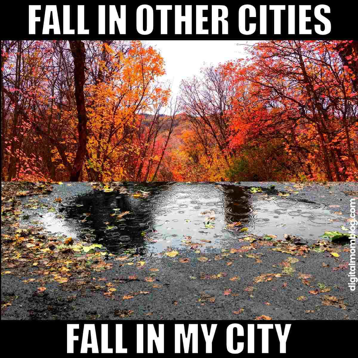 autumn weather meme funny autumn weather meme funny