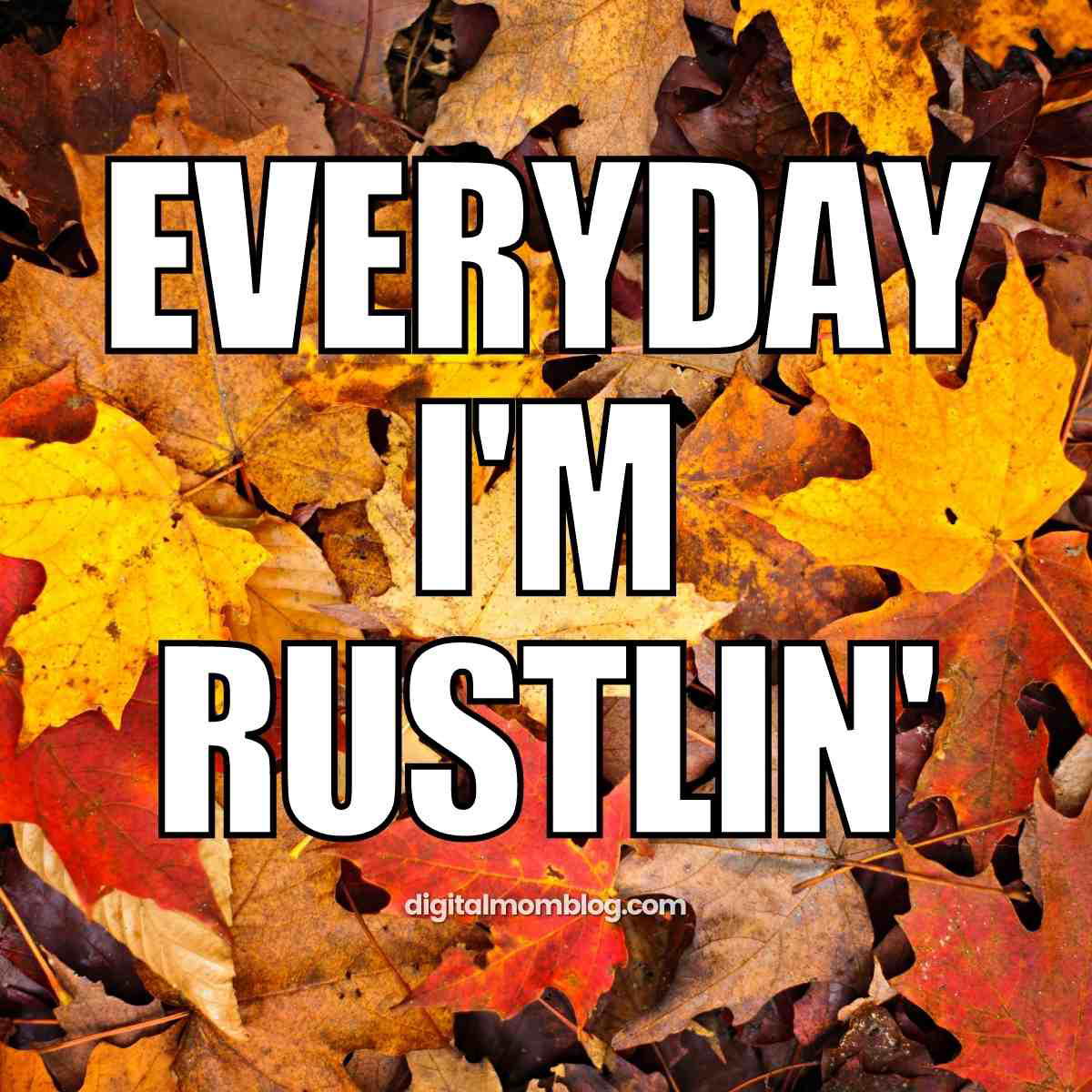 everyday im rustlin meme fall everyday im rustlin meme fall