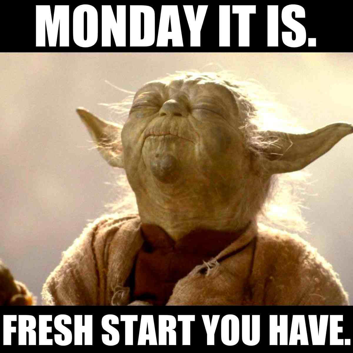 fresh start meme Meme of wise green creature embracing Monday with the text 'Monday it is. Fresh start you have,' adding a sage twist to Monday humor.