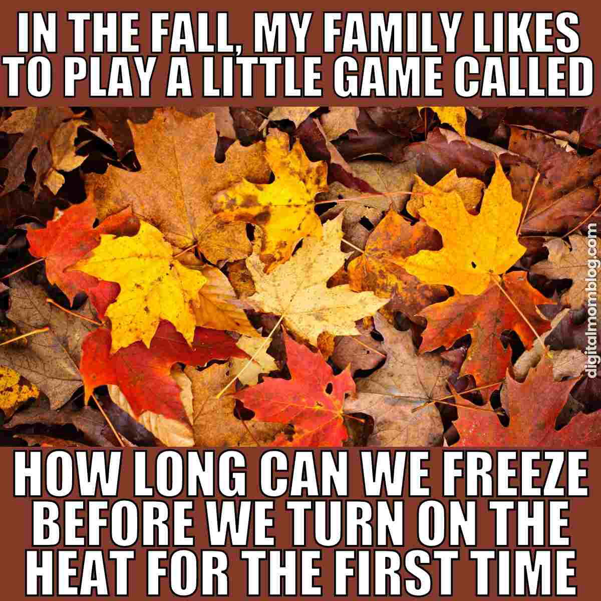 funny fall meme funny fall meme