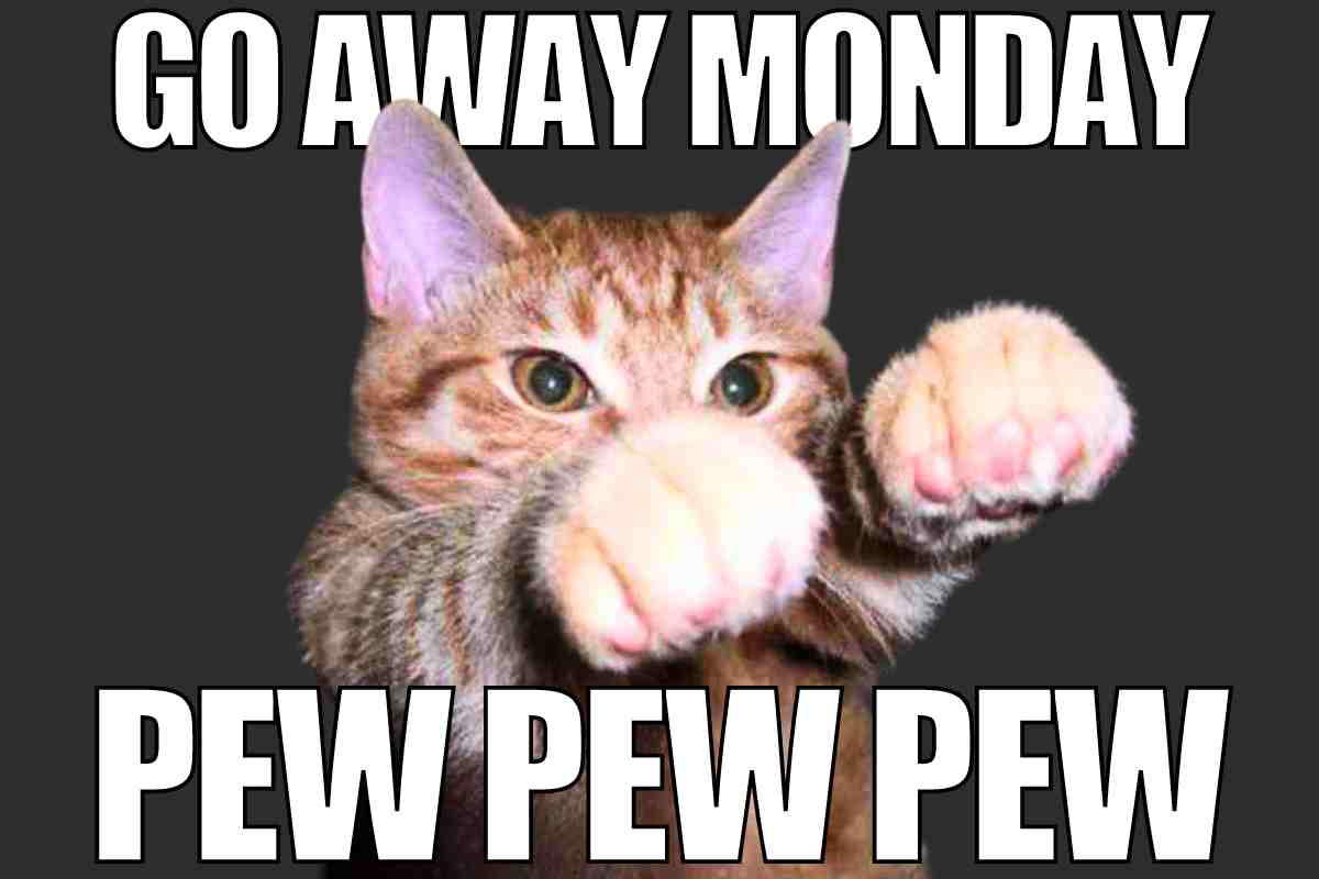 go away monday meme Meme of a feisty cat playfully swatting with paws, jokingly telling Monday to 'go away' with 'pew pew pew' sound effects for comedic Monday humor.