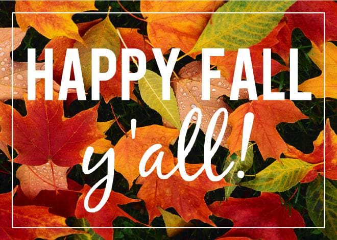 happy fall yall meme happy fall yall meme