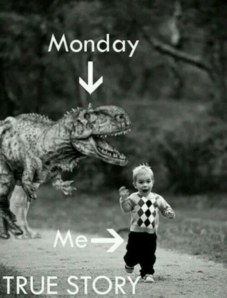 i hate mondays meme Meme of a child running from a dinosaur labeled 'Monday,' with the child labeled 'Me,' humorously capturing the Monday struggle.