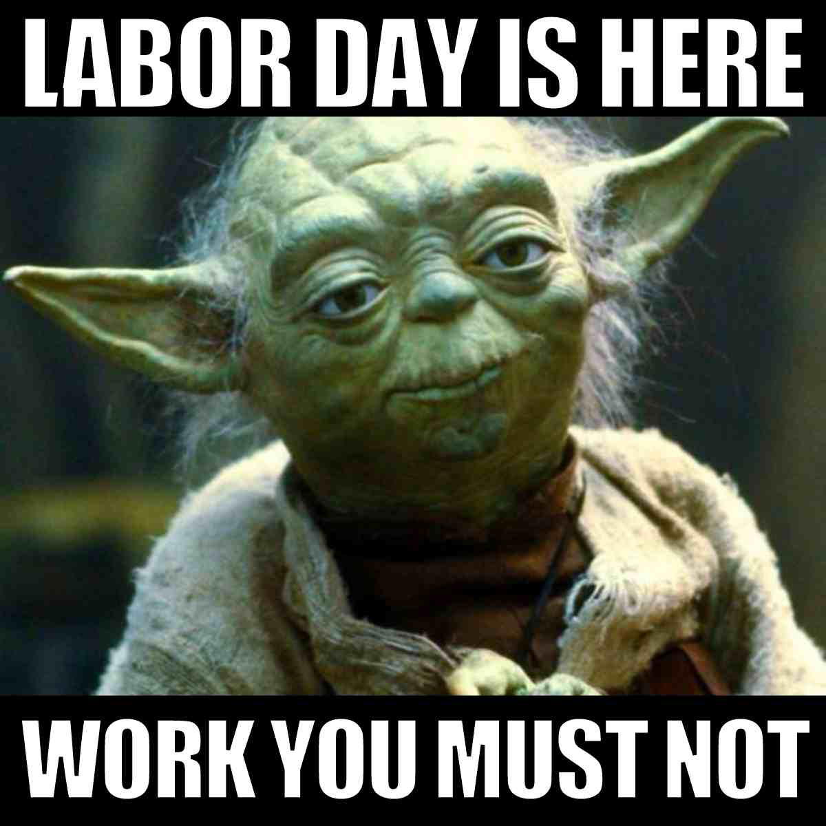 labor day no work meme Humorous work meme featuring Yoda with the text 'Labor Day is here, work you must not,' suggesting a Jediapproved break.