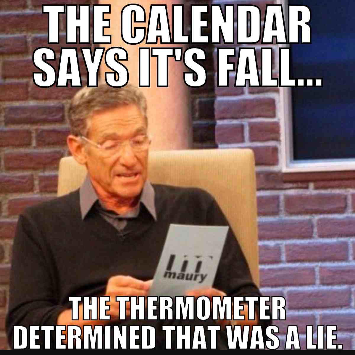 meme fall 2022 1 meme fall 2022