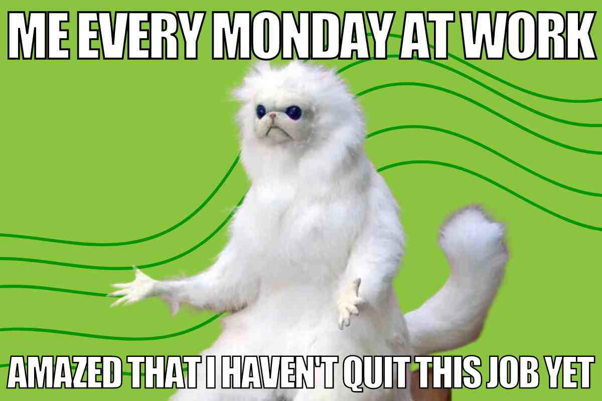 monday work meme funny Funny Monday meme featuring a fluffy white animal looking bewildered with text saying, 'Me every Monday at work, amazed that I haven't quit this job yet.' Perfect meme to capture those Monday blues!