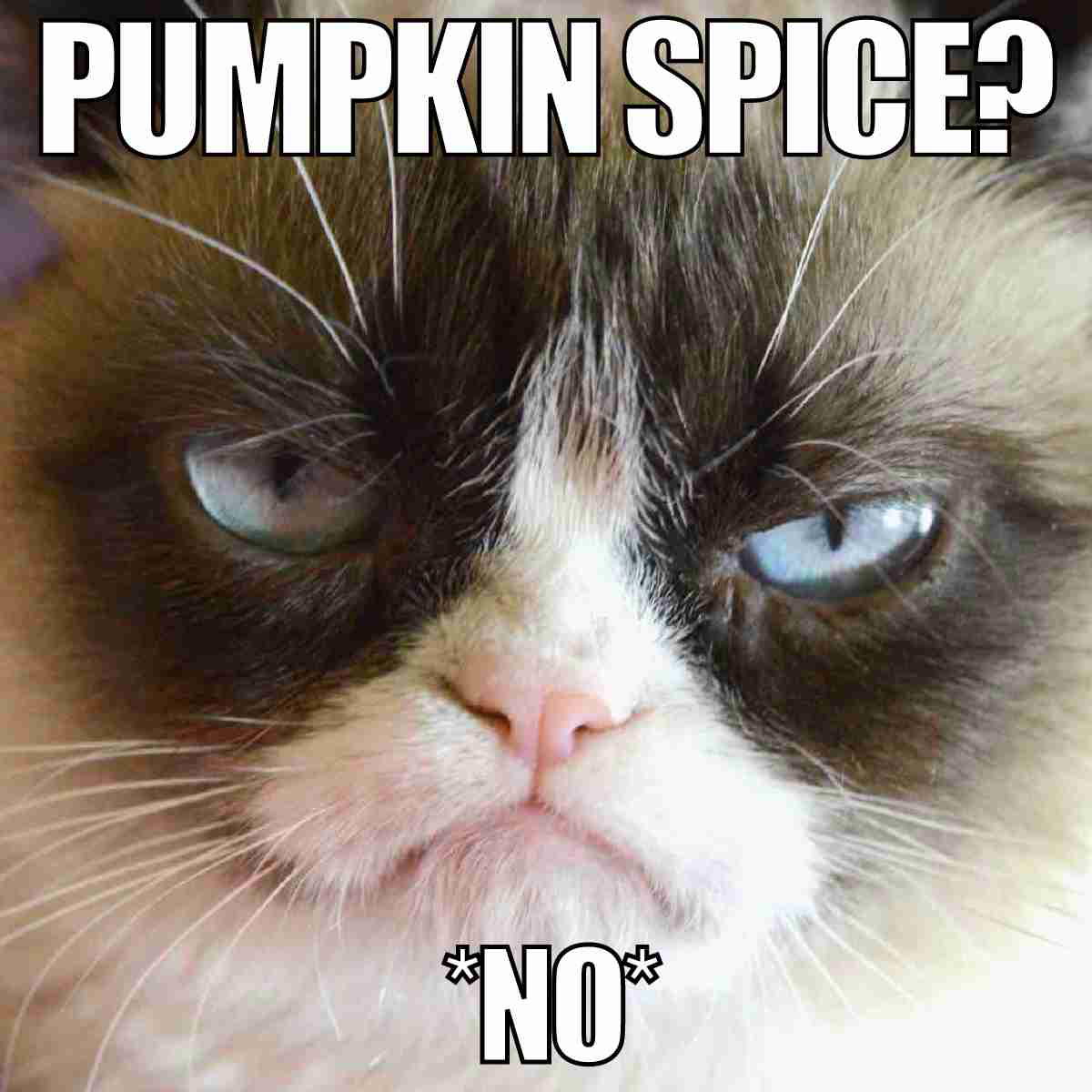 no pumpkin spice meme no pumpkin spice meme