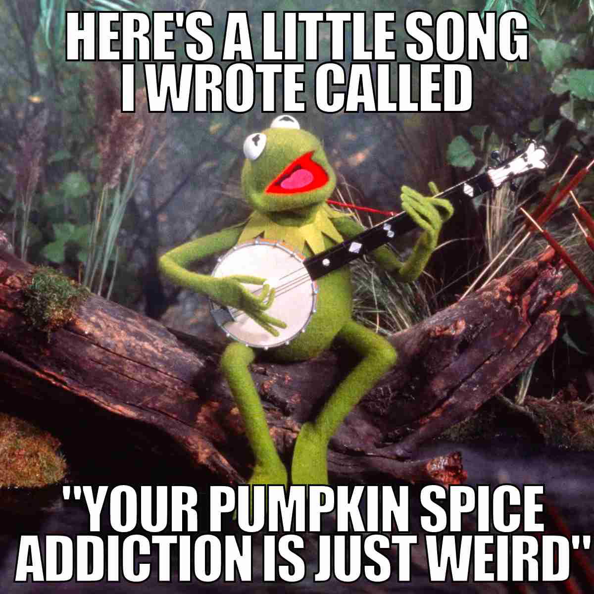 pumpkin spice meme funny "your pumpkin spice addiction is just weird"