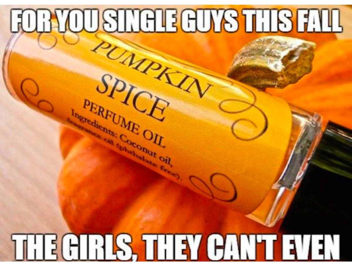 pumpkin spice smell meme pumpkin spice smell meme