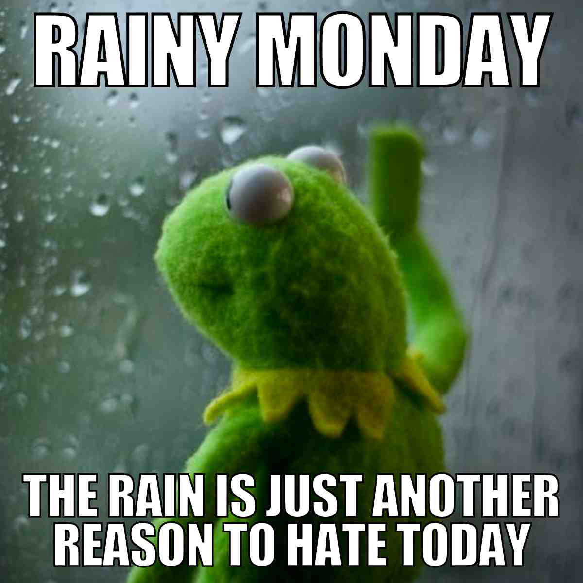 rainy monday meme Meme featuring a green puppet looking sadly out a rainy window with text: 'Rainy Monday: The rain is just another reason to hate today.'