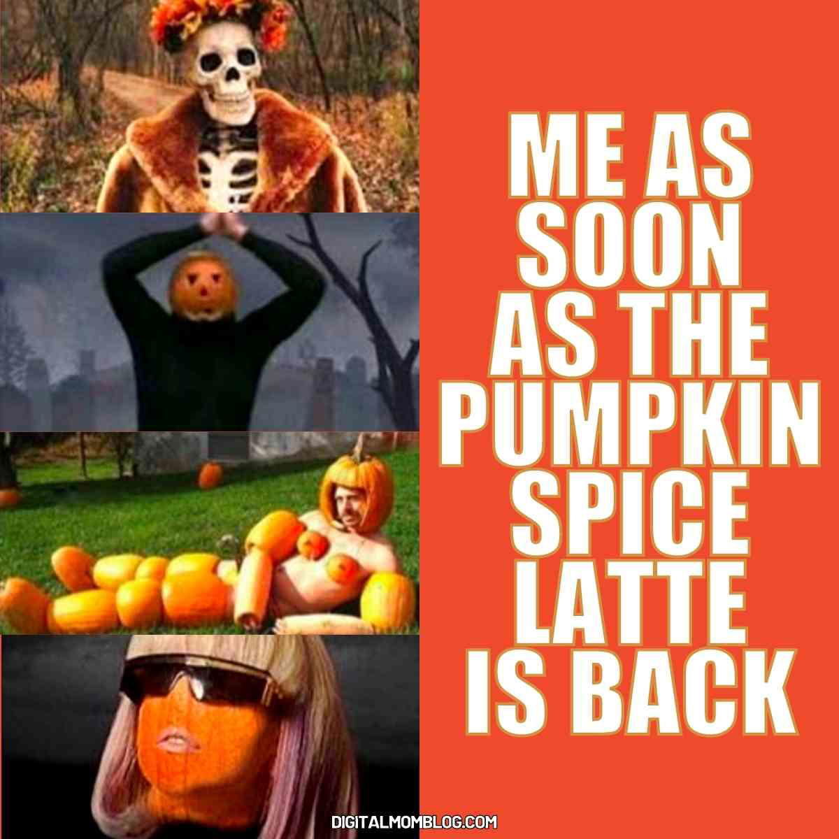 starbucks psl meme starbucks psl meme