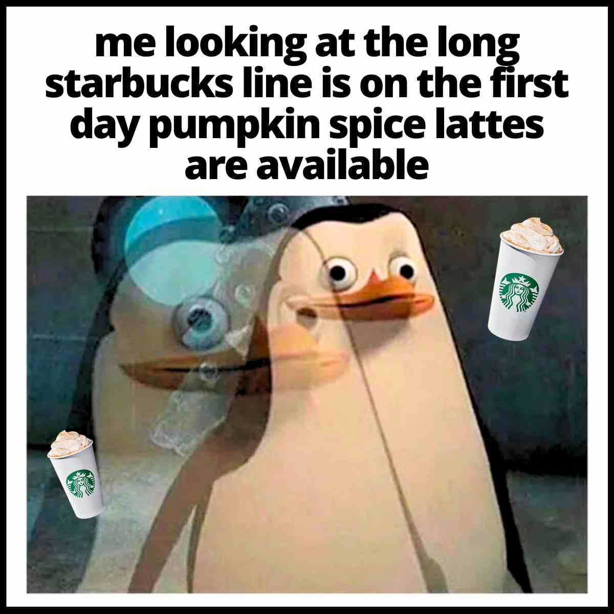 starbucks psl memes starbucks psl memes