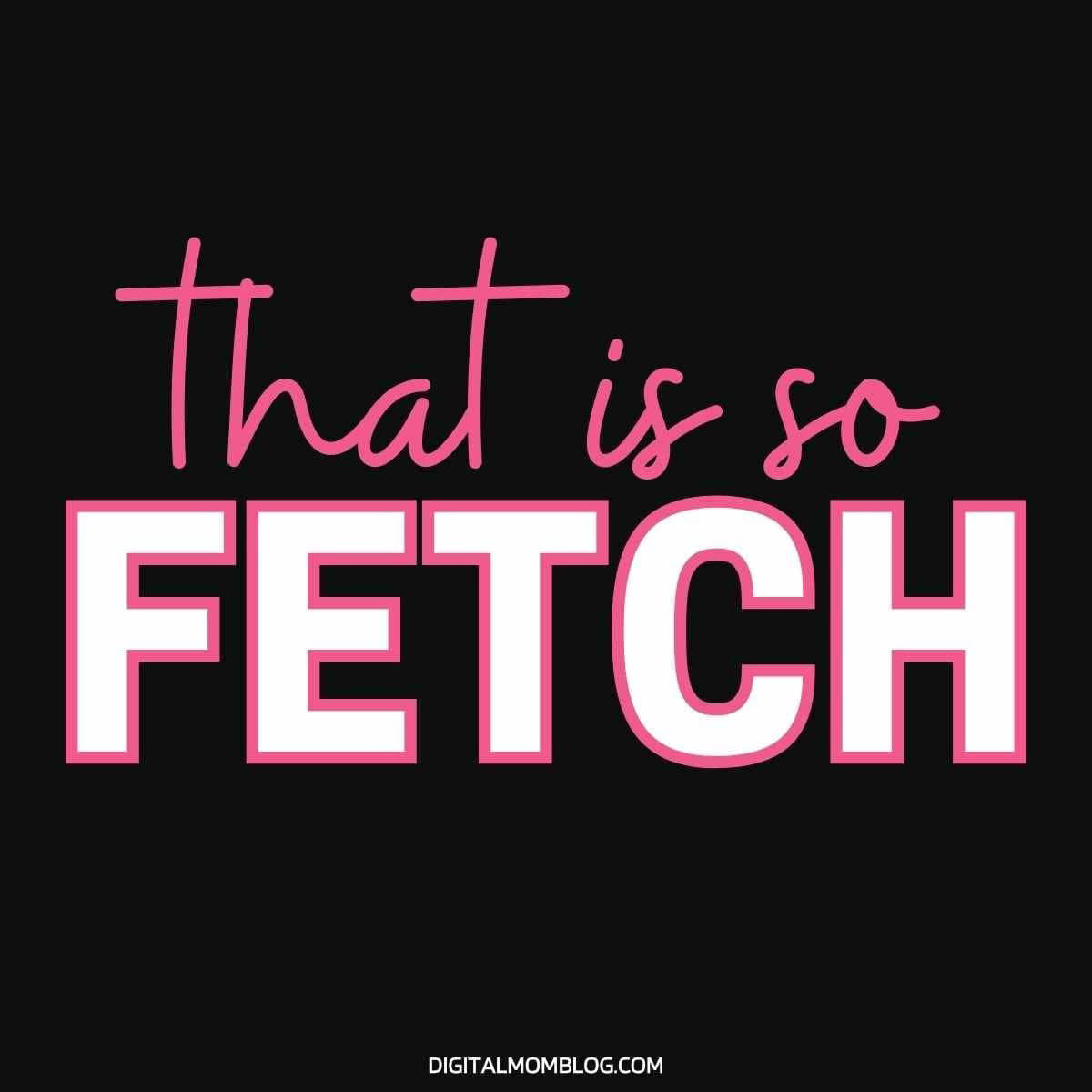 that is so fetch meme mean girls that is so fetch meme mean girls