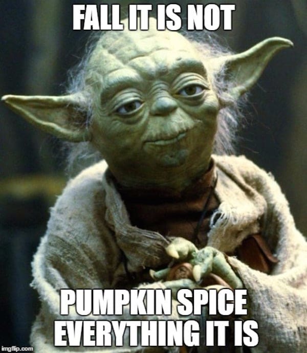 yoda pumpkin spice meme yoda pumpkin spice meme