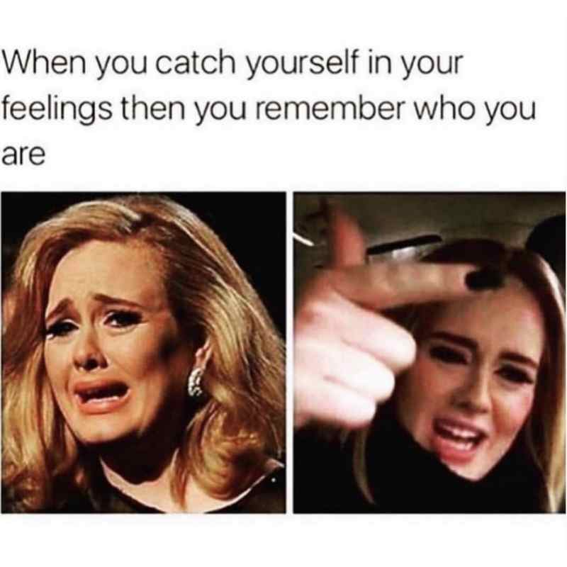 adele feelings meme adele feelings meme