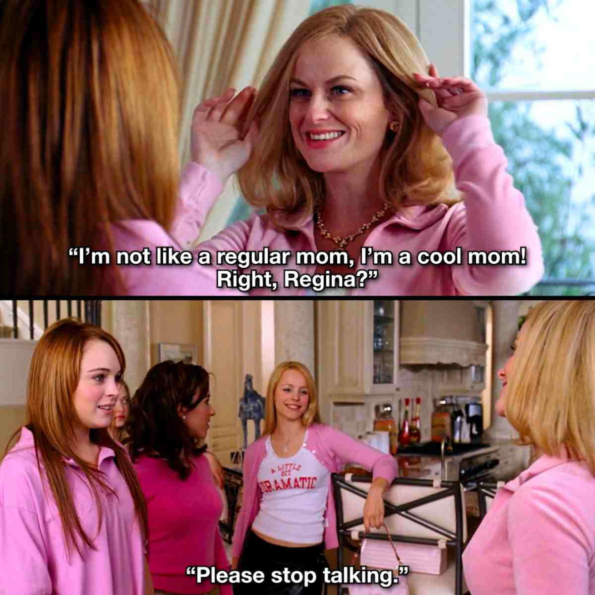 cool mom meme amy pohler cool mom meme amy pohler