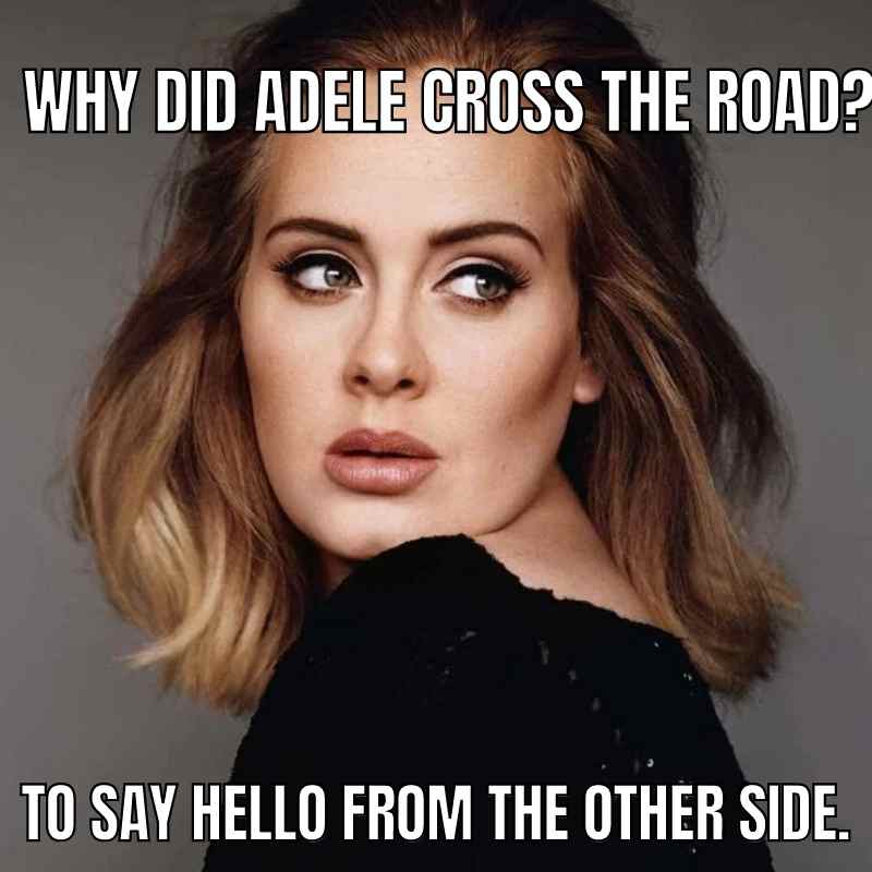 funny adele meme funny adele meme