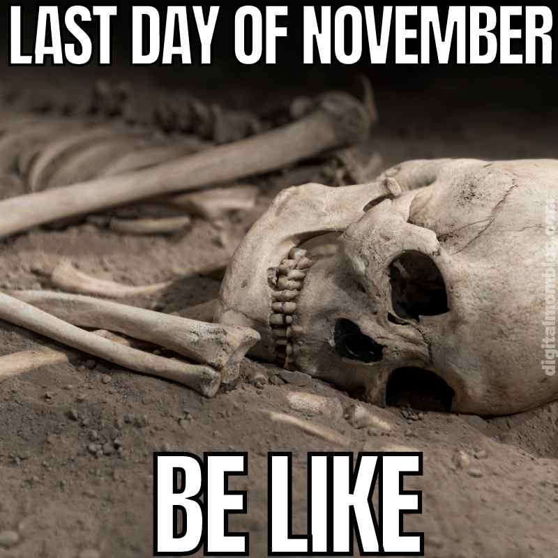 funny last day of november meme funny last day of november meme