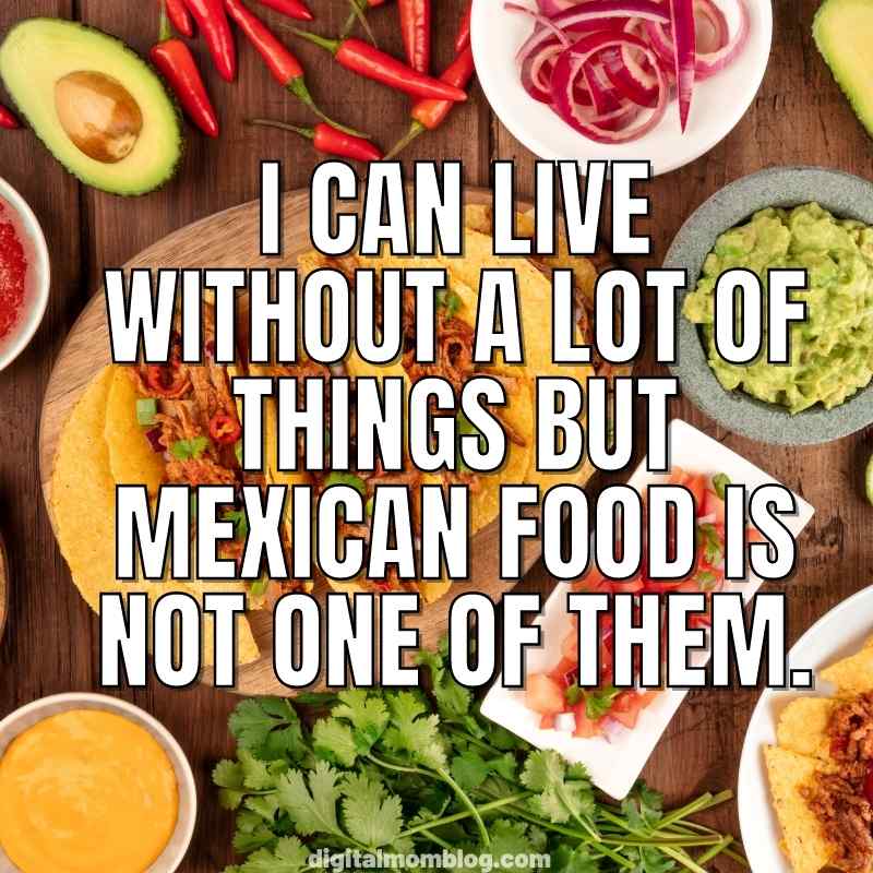 funny mexican food meme cant live without funny mexican food meme cant live without