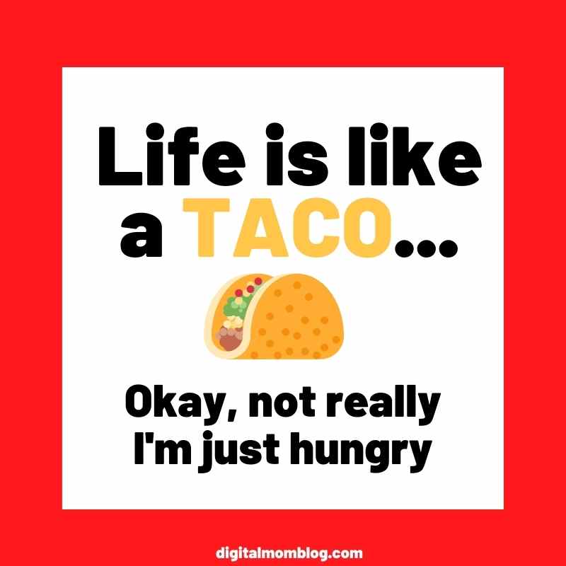 funny taco quote funny taco quote