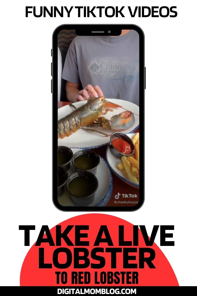 funny tiktok red lobster funny tiktok – red lobster