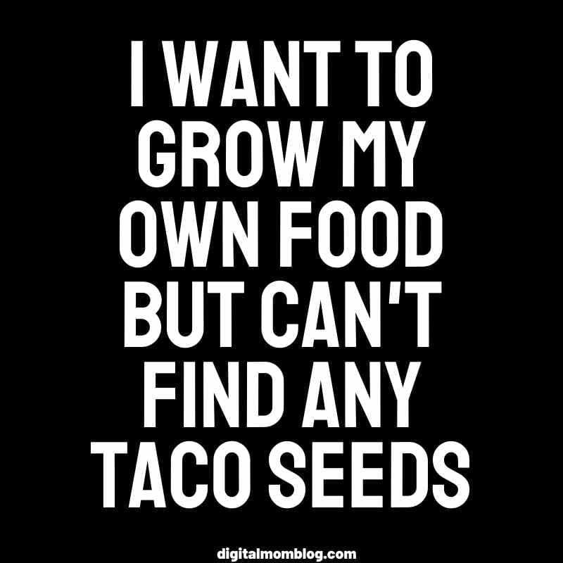grow tacos grow tacos