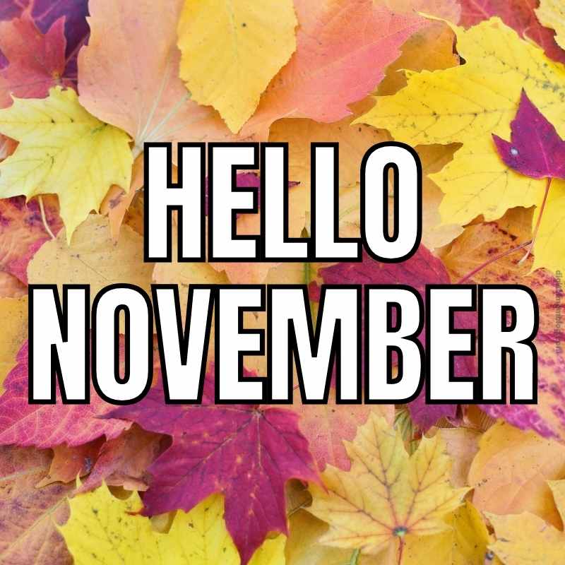 hello november meme hello november meme