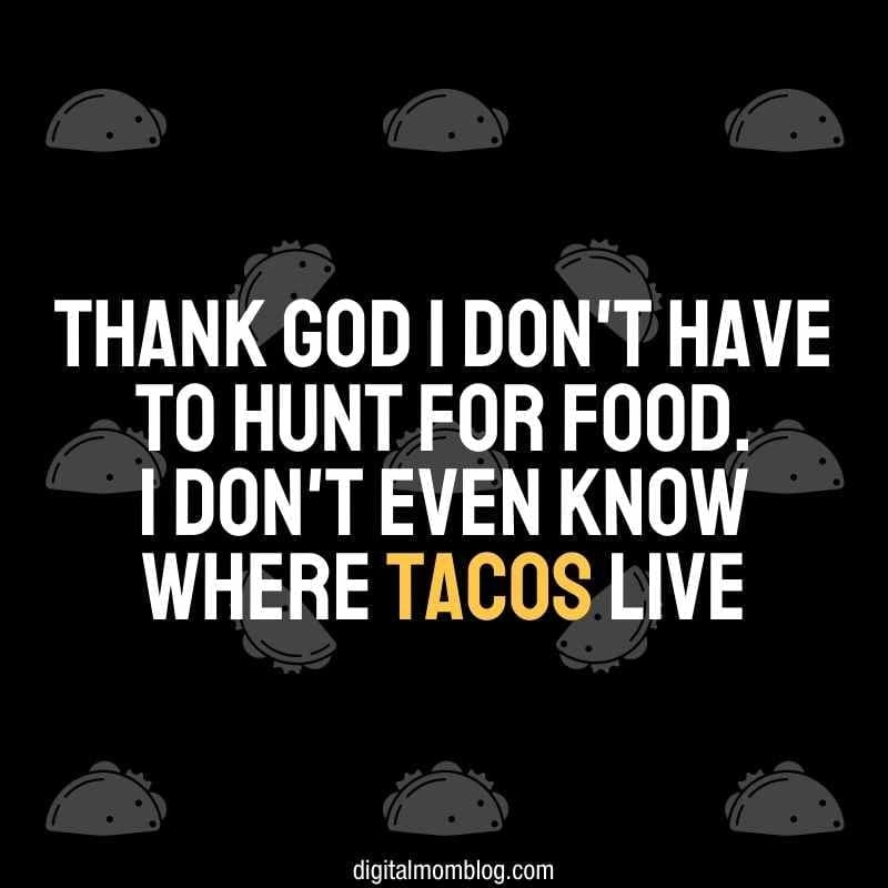 hunt for tacos meme hunt for tacos meme