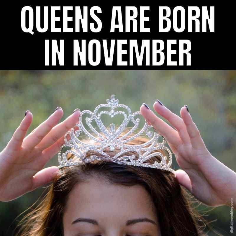 november birthday meme queen november birthday meme queen