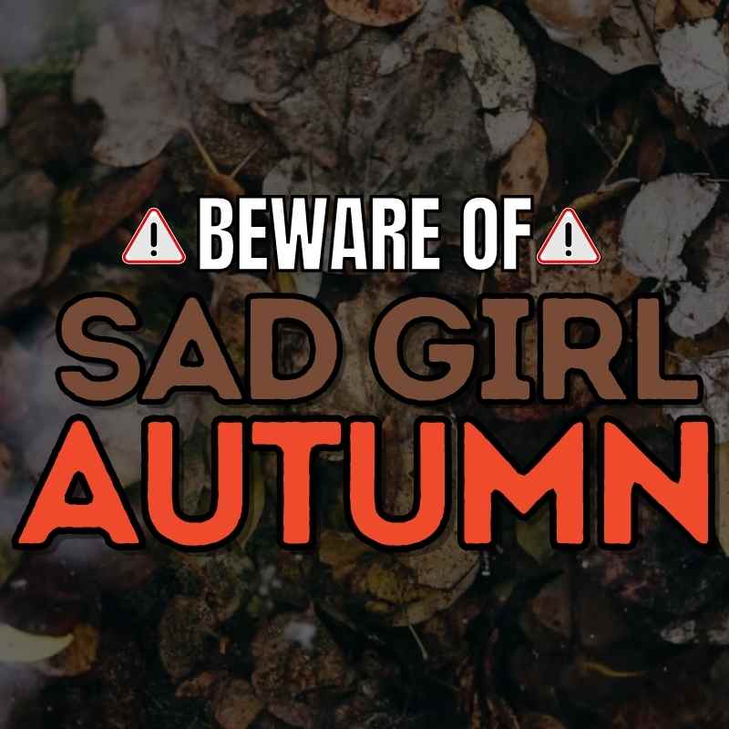 sad girl autumn sad girl autumn