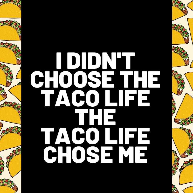 taco life meme taco life meme