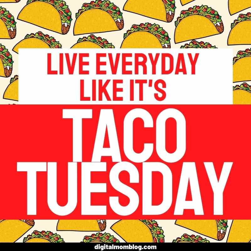 taco tuesday meme Meme featuring a background of tacos with the humorous text 'Live everyday like it's Taco Tuesday,' celebrating the joy of midweek Mexican cuisine indulgence.