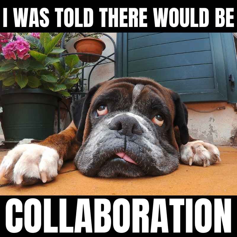 teamwork collaboration meme Meme of a tiredlooking dog lying down, looking unimpressed, with the caption 'I was told there would be collaboration.'
