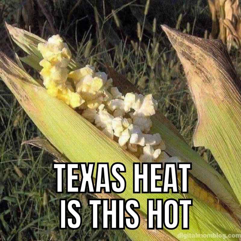 texas heat meme popcorn Meme of an ear of corn popping into popcorn under the caption 'Texas heat is this hot,' humorously exaggerating the intensity of Texas weather.
