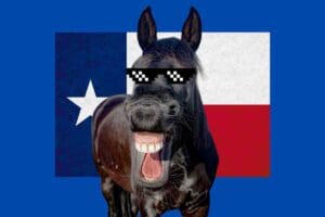 Meme of a laughing horse wearing pixelated sunglasses in front of a Texas flag, embodying that bold Texas humor with a side of 'Yeehaw' swagger.